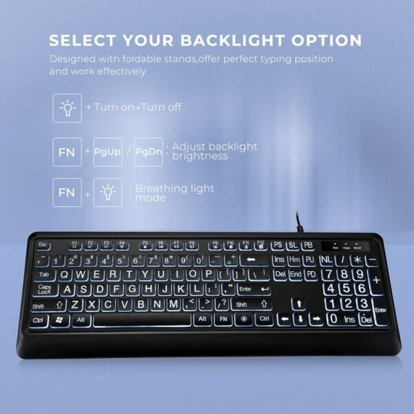 Large Print Backlit Keyboard with White Illuminated LED Compatible for Windows Desktop Laptop PC